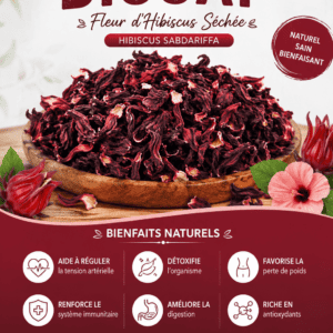 Plante 004:Bissap : La Fleur Naturelle aux Multiples Vertus