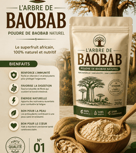 Plante 002: BAOBAB Le trésor naturel africain aux multiples bienfaits