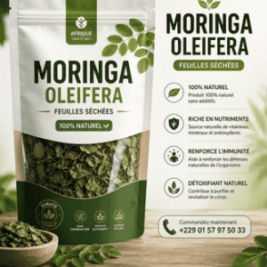 Plante 001:MORINGA OLEIFERA : La plante miracle aux multiples vertus