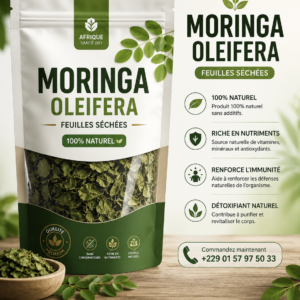 Moringa Oleifera bienfaits naturels