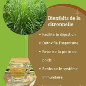 Bienfaits de la citronnelle