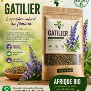 Plante : Thé de Gattilier pour Soulager les Règles et l’équilibre du cycle menstruel