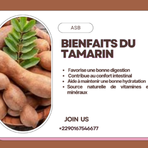 Plante 018:Tamarind – Le Fruit Naturel aux Multiples Bienfaits