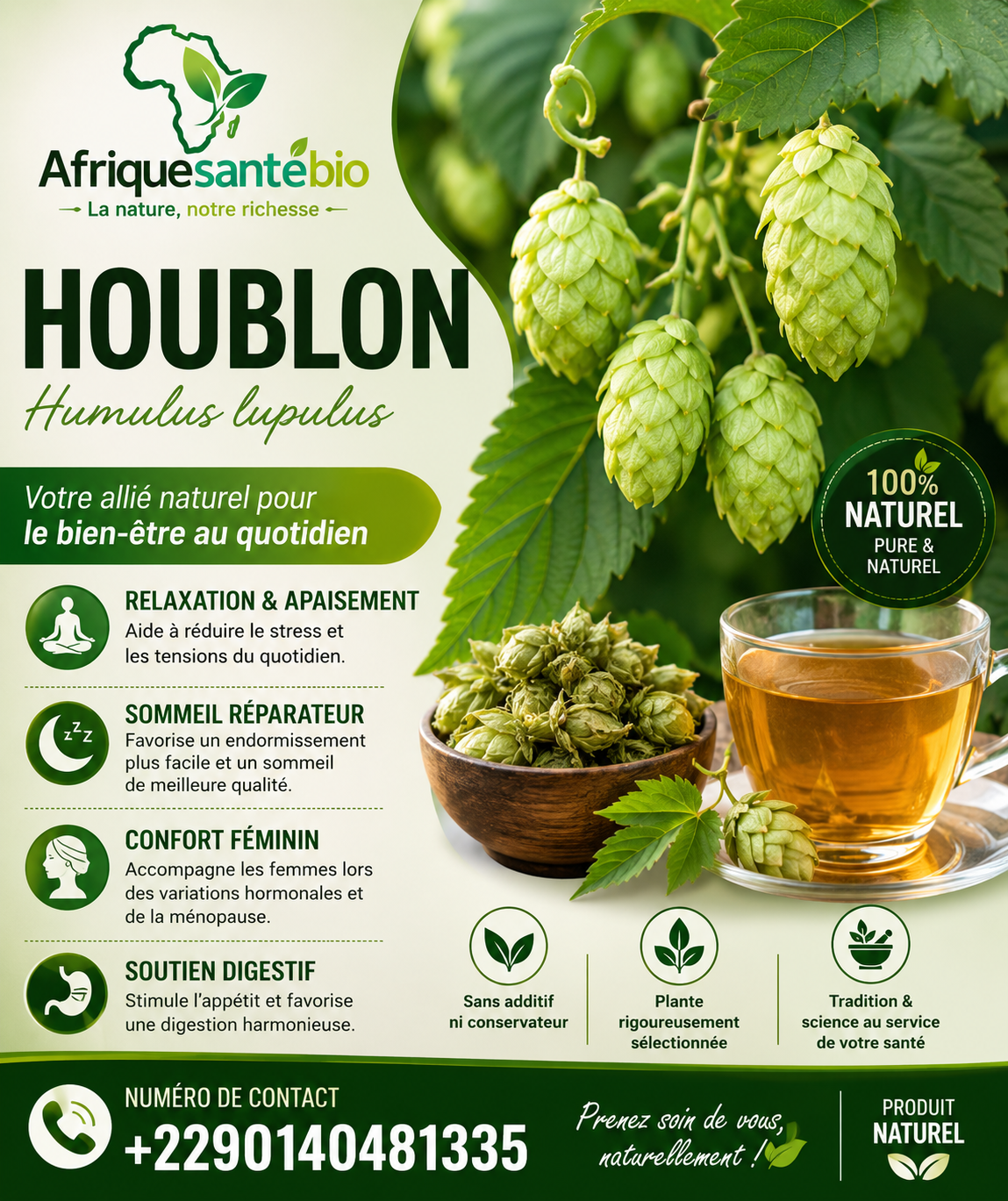 Houblon pour le confort digestif