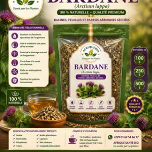 Plante 033: Bardane – La Plante Dépurative Naturelle pour la Peau et le Bien-être
