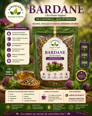 Bienfaits de la bardane