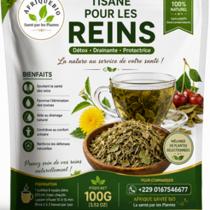 Plante 029: Tisane pour les Reins – Soutien Naturel pour le Bien-être Rénal