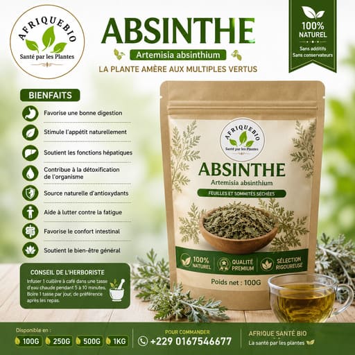 Bienfaits de l'absinthe
