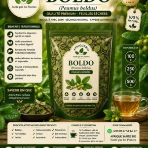 Plante 034: Boldo – La Plante Naturelle du Foie et de la Digestion