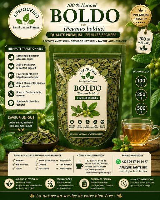 Bienfaits du boldo
